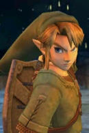 link13